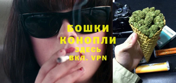 дмт Каменногорск
