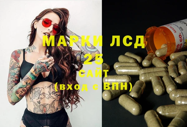 дмт Каменногорск