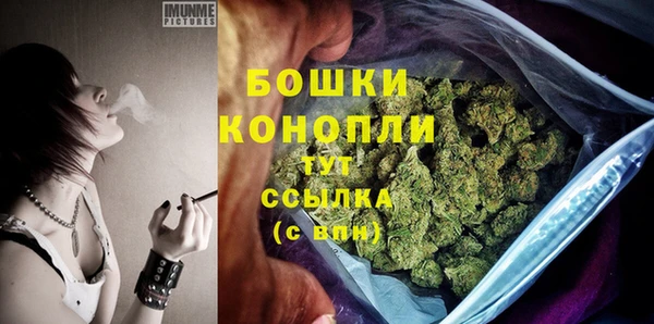 дмт Каменногорск