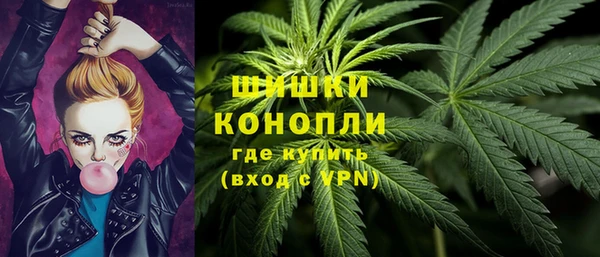 дмт Каменногорск