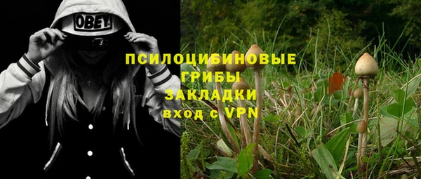 дмт Каменногорск