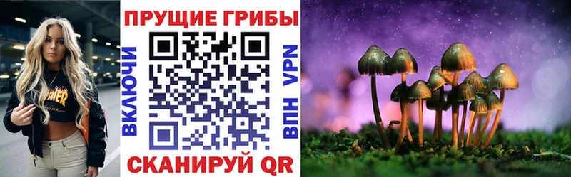 Купить закладки  Благодарный  Галлюциногенные грибы прущие грибы 